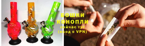 дурь Белоозёрский