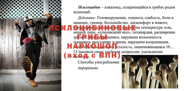 спиды Рославль