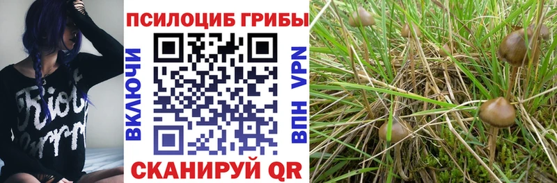 Псилоцибиновые грибы Magic Shrooms  hydra   Курлово 